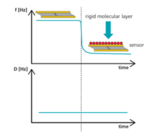 QCM-D mass & thickness