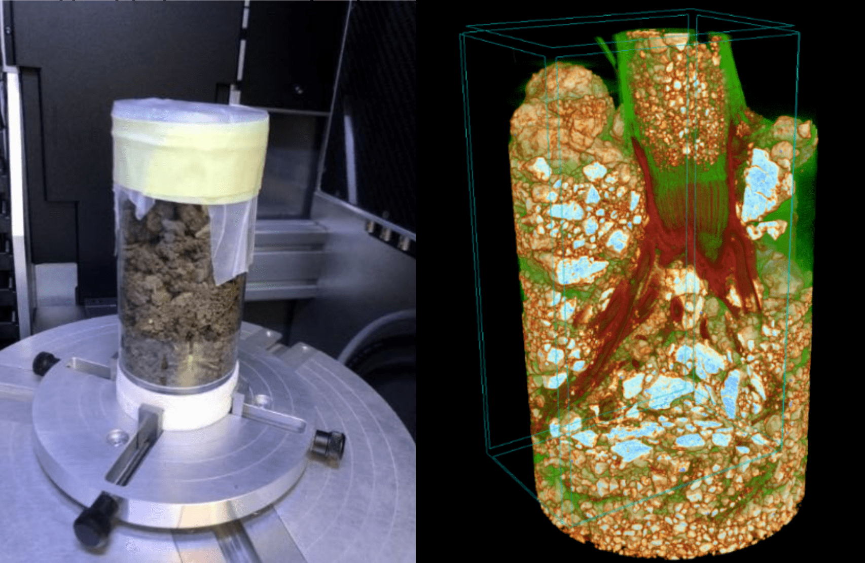 Micro-CT for Plant Research | Micro Photonics